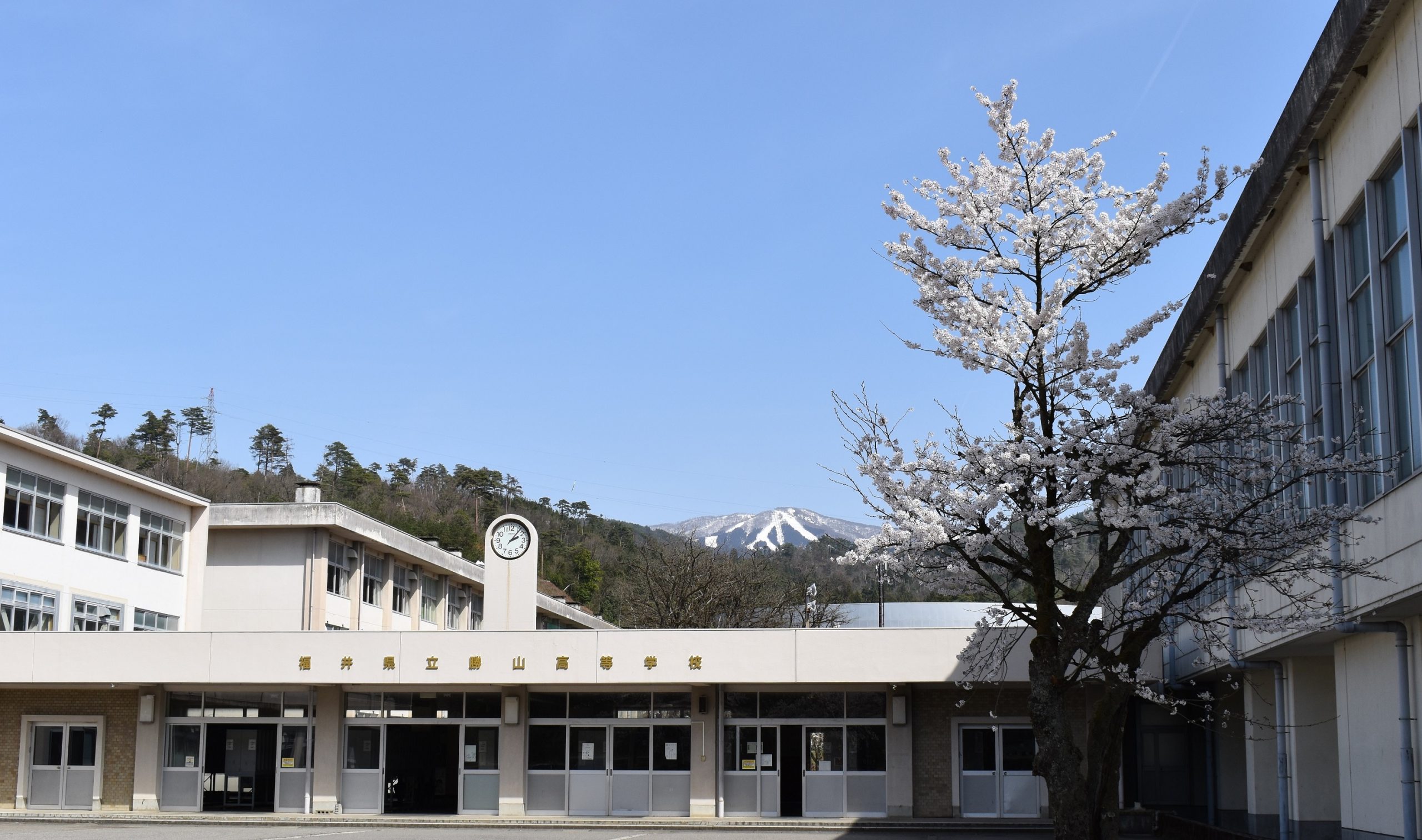 福井 県 の 高校